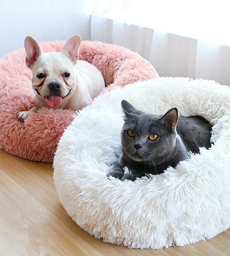 CAMA PARA MASCOTAS EN DONA ANTIESTRES